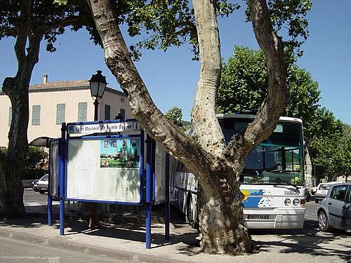 Cliquez pour agrandir 